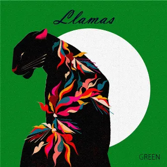 Llamas by Green