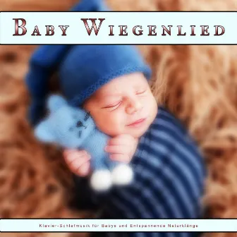 Baby Wiegenlied: Klavier-Schlafmusik für Babys und Entspannende Naturklänge by Baby-Wiegenlieder