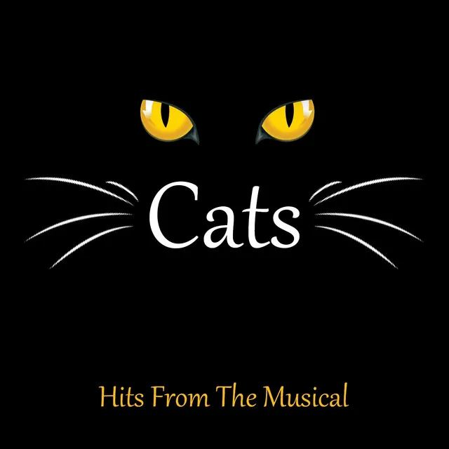 Mr. Mistoffelees (From: 'Cats')