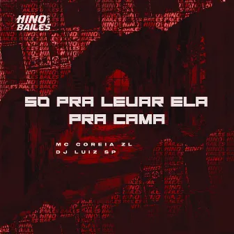 So pra Levar Ela pra Cama by DJ LUIZ SP