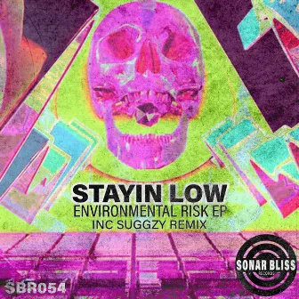 Environmental Risk EP by Stayin Low