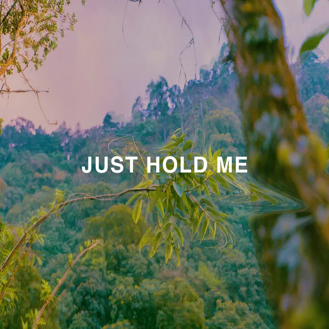 Just Hold Me