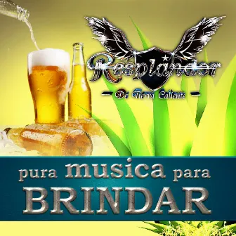 Pura Musica Para Brindar (En Vivo) by Resplandor De Tierra Caliente