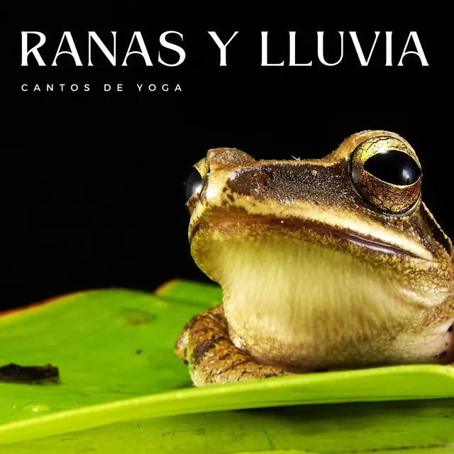 Ranas Y Lluvia: Cantos De Yoga