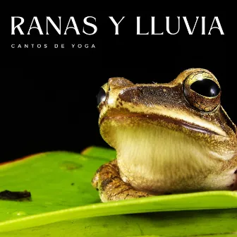 Ranas Y Lluvia: Cantos De Yoga by Academia de sonidos de la naturaleza