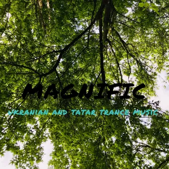 Magnific by Usein Bekirov