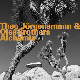 Alchemia (Live) by Theo Jörgensmann