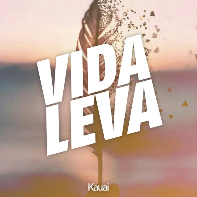 Vida Leva