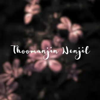 Thoomanjin Nenjil by Unknown Artist