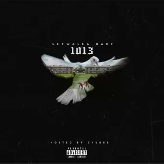 1013 by SKYWALKA HARP