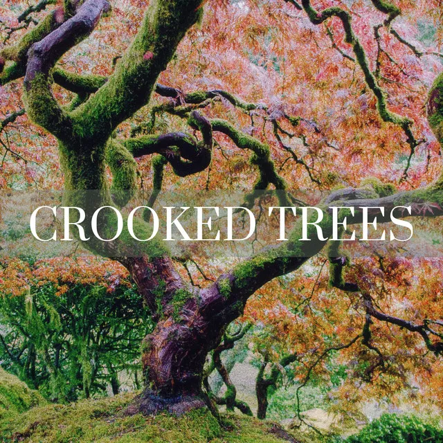 Crooked Trees