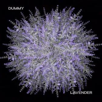 Dummy / Lavender by KIKA