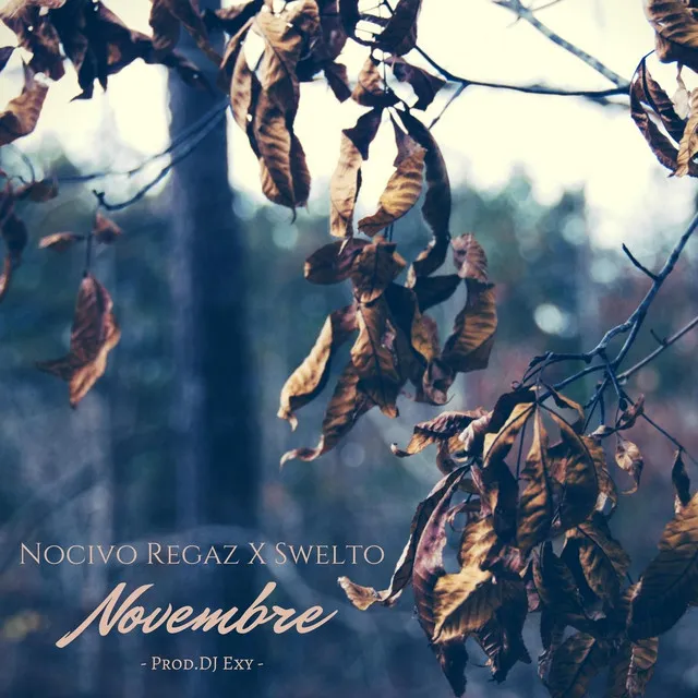 Novembre