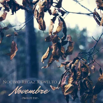 Novembre by Nocivo Regaz