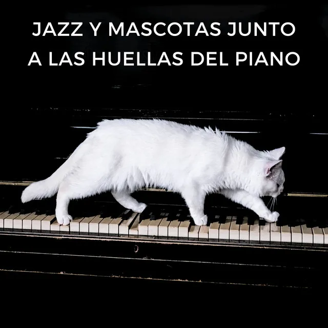 Jazz Y Mascotas Junto A Las Huellas Del Piano