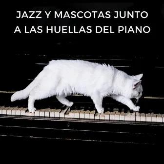 Jazz Y Mascotas Junto A Las Huellas Del Piano by Jazz Ambiente