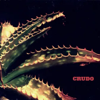 Crudo by Mauricio Rodriguez