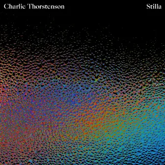 Stilla by Charlie Thorstenson