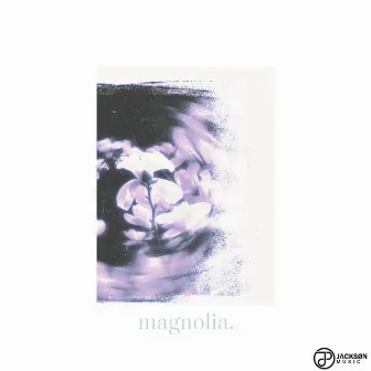 Magnolia by 戴威Fogisle