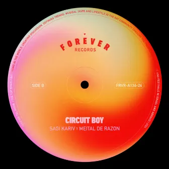 Circuit Boy by Meital De Razon