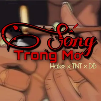 Sống Trong Mơ by Db