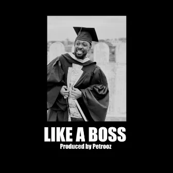 Like a Boss by Substation studio