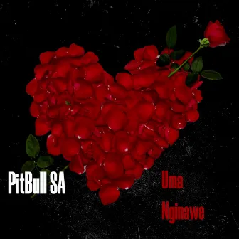 Uma Nginawe by PitBull SA