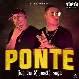 Ponte by Lion DM