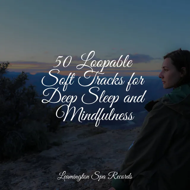 50 Loopable Soft Tracks for Deep Sleep and Mindfulness