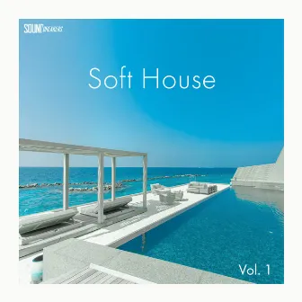 Soft House, Vol.1 by Justin Hilton Portis