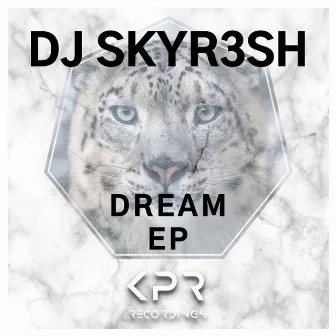 Dream EP by DJ SKYR3SH