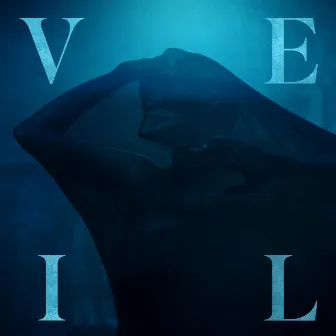 Veil by John W. Snyder