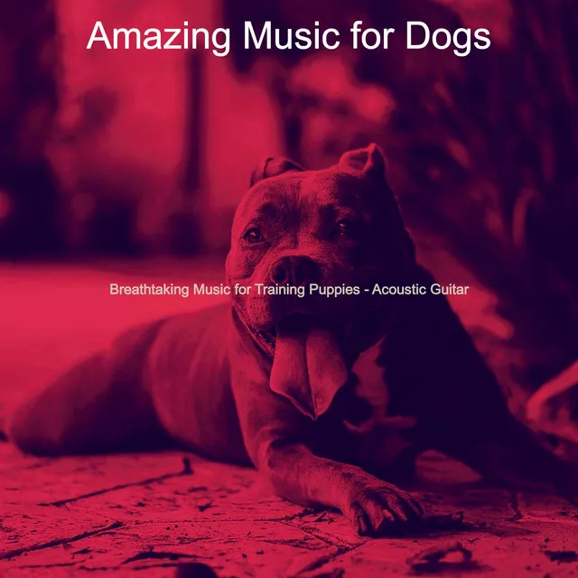 Breathtaking Music for Training Puppies - Acoustic Guitar