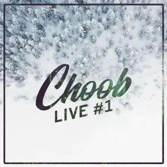 Bluebird (Live #1) by Choob