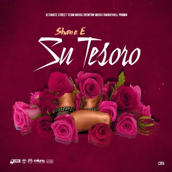 Su Tesoro by Shane E