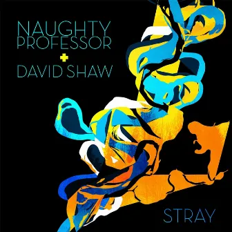 Stray by David Shaw