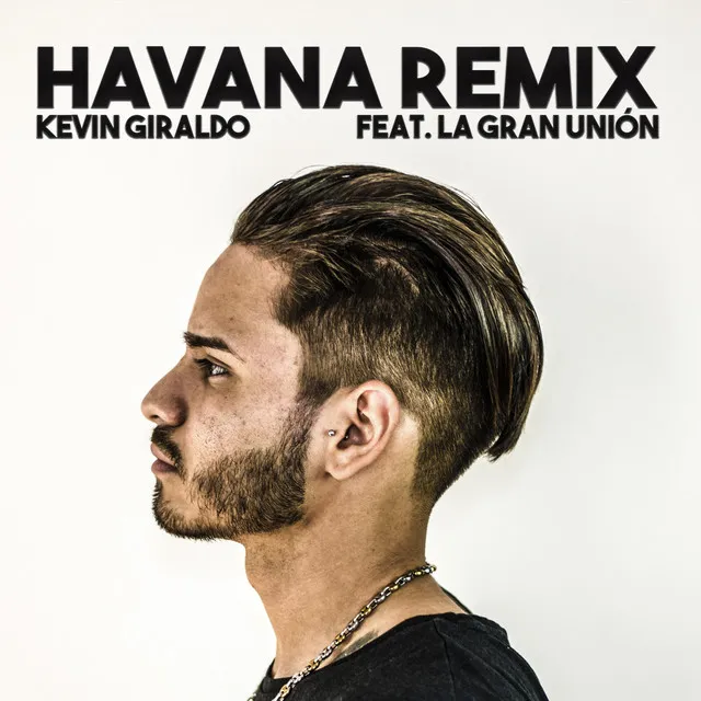 Havana (Remix)