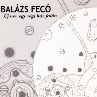 Új név egy régi ház falán by Fecó Balázs