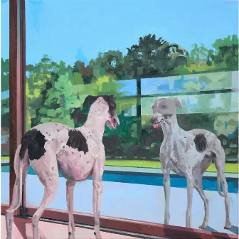 Dos galgos blancos by Remate