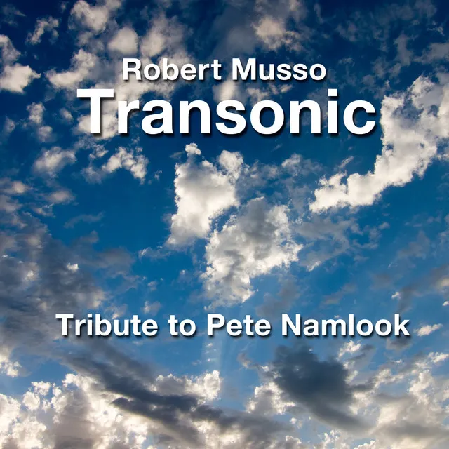 A Tribute to Pete Namlook (Live)