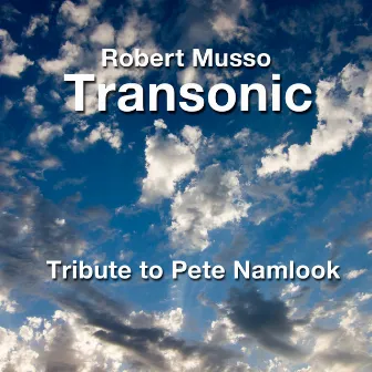 A Tribute to Pete Namlook (Live) by Transonic