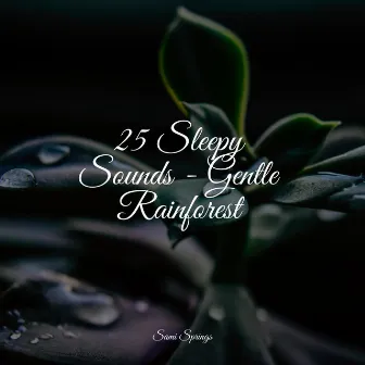 25 Sleepy Sounds - Gentle Rainforest by Pure Serenity Spa Music & Massage Collective Garden & Zen Relaxation Meditation