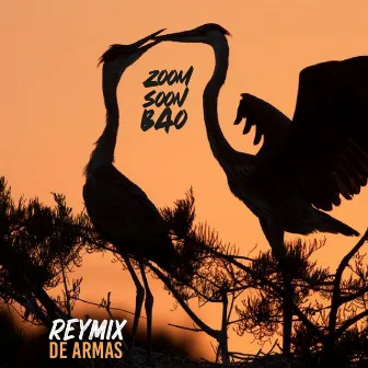 Reymix de Armas by Zoom Soon Bao