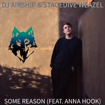 Some Reason by Stagedive Weazel