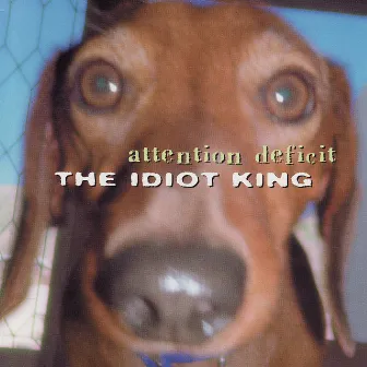 Idiot King by Attention Deficit