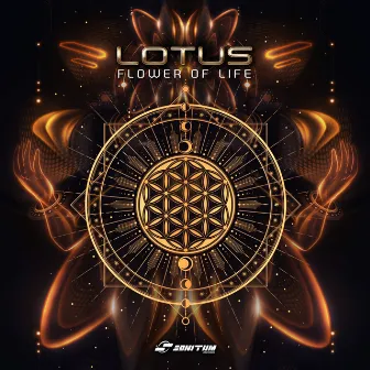 Flower of Life by Lotus (BR)