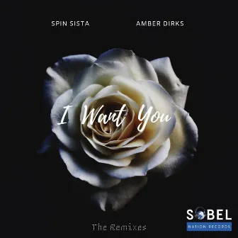 I Want You (The Remixes) by Spin Sista