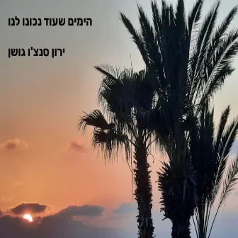 הימים שעוד נכונו לנו by Dori Ben-Ze׳ev