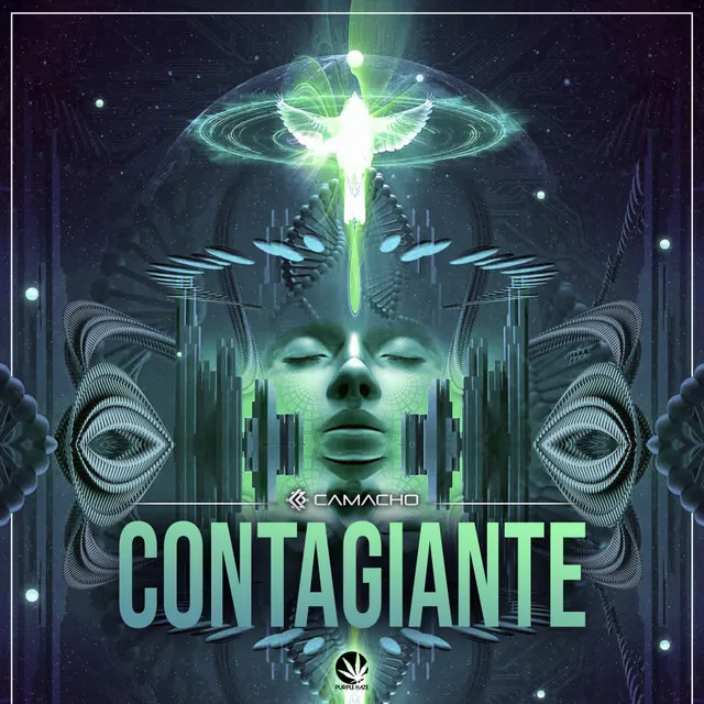 Contagiante II