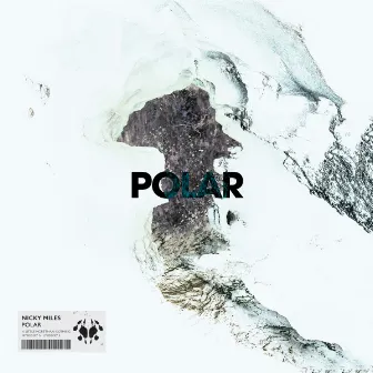 Polar by Nicky Miles